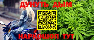 крисы Малгобек