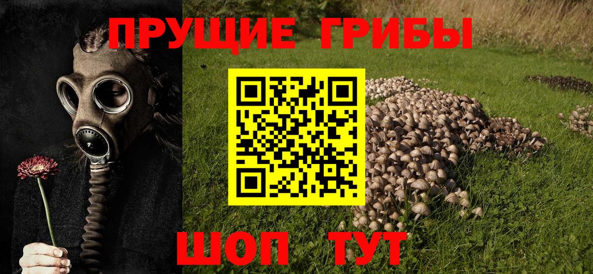 Галлюциногенные грибы MAGIC MUSHROOMS Уссурийск